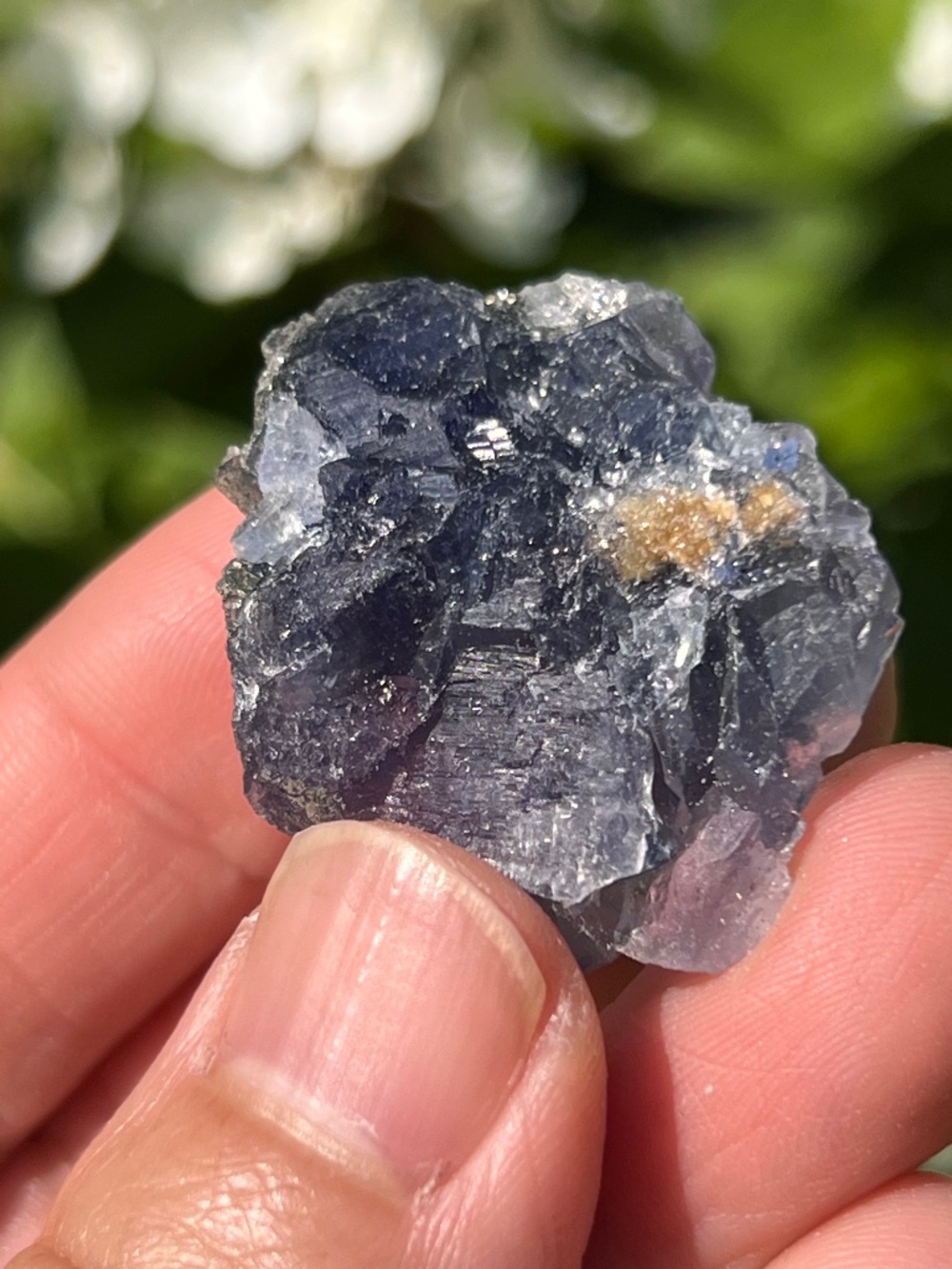 Fluorite (8) specimen with stand | crystal